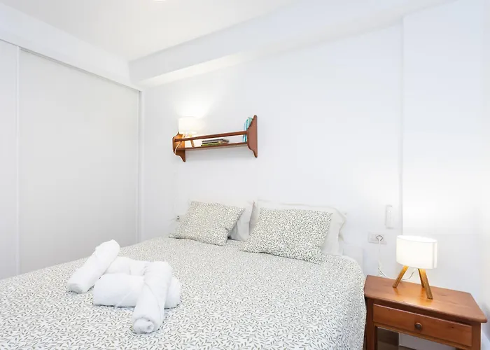 Live Torviscas Parque Royal 12